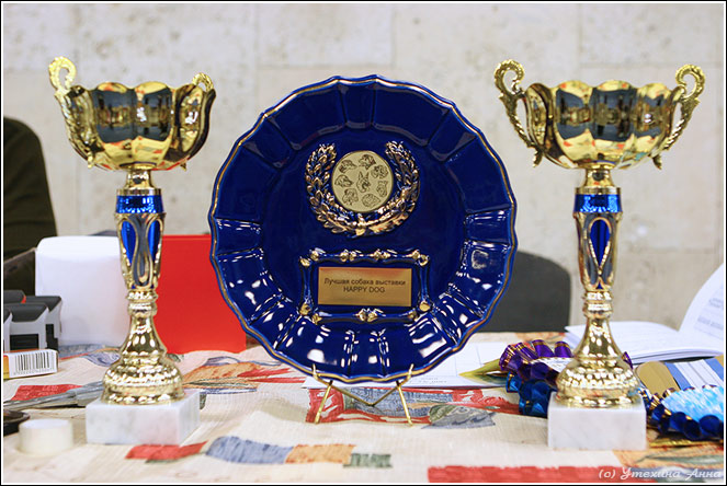 призы "Ретривер - осень 2006"