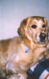 Craigiehill Perdita