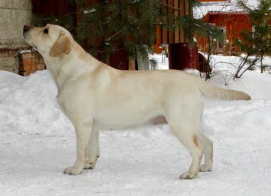 Tawastway's Hide'n'Seek