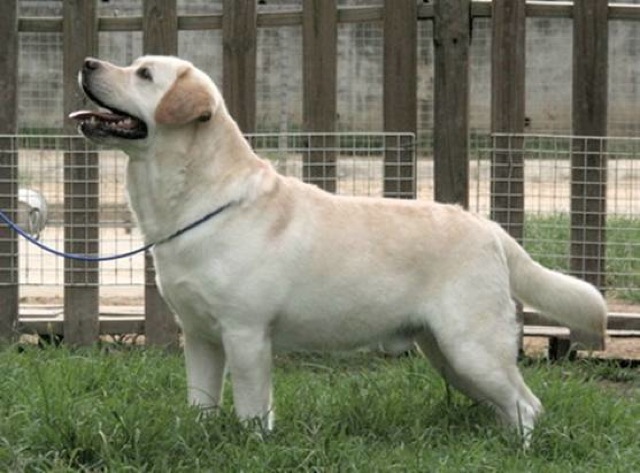 Ridge View Touchdown