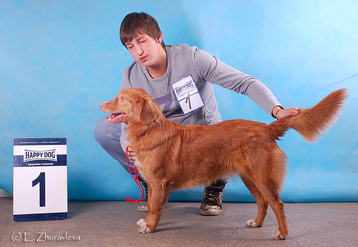 Shaggy Toller's Lonely Lyra