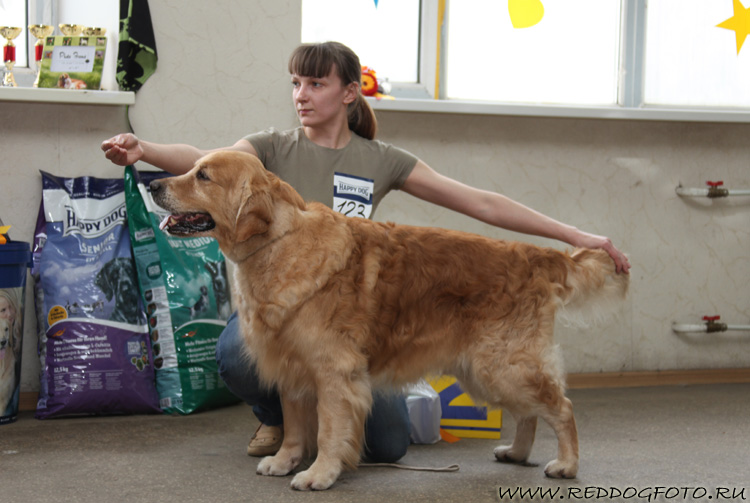 Слав Троуфи Симпли Ред