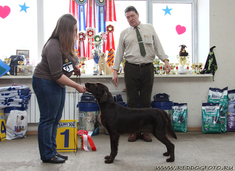 Agniola Wispa Solntse Baltii