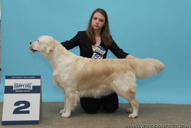 Лад Юнити Викториана Шарм