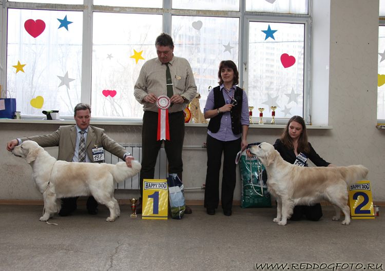 Сравнение на победителя класса: Мон Солей Ларуш Феери и Лад Юнити Викториана Шарм