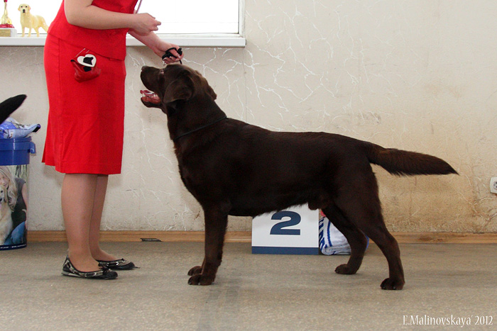 Рус Юклас Кент Каунти