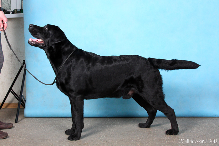 Жерминаль Мисти Презент Дэй