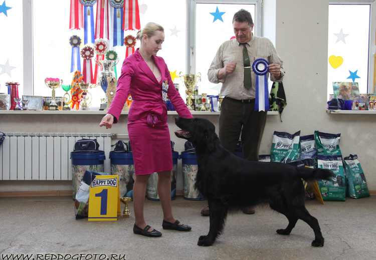 Солнце Балтии Шелест Шелка
