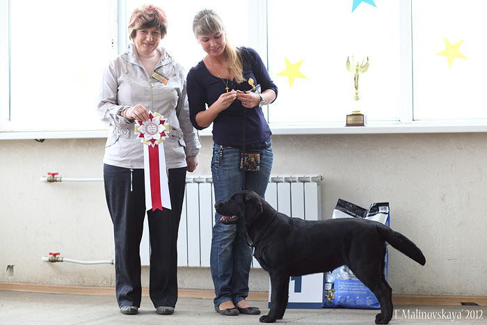 Лабри Берри Жозефа Мари Роз