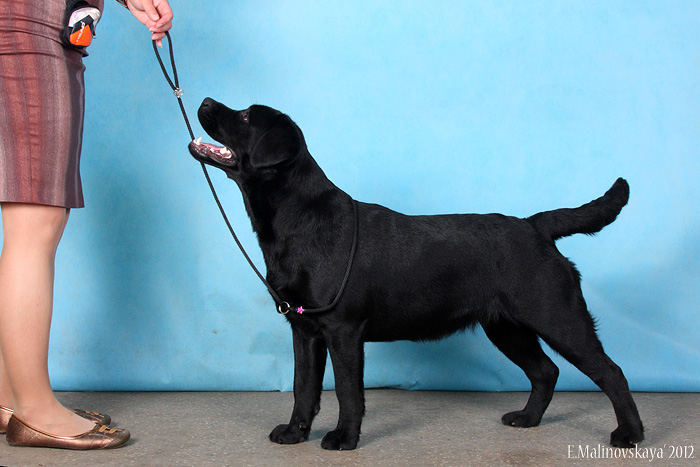 Хелен'с Мирэкл Олвейз Зе Бест