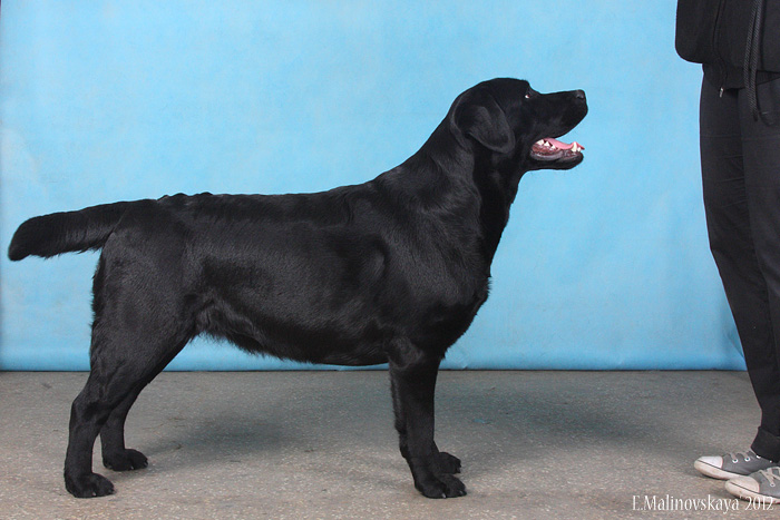 Блэк Спайс Ю Вилл Си