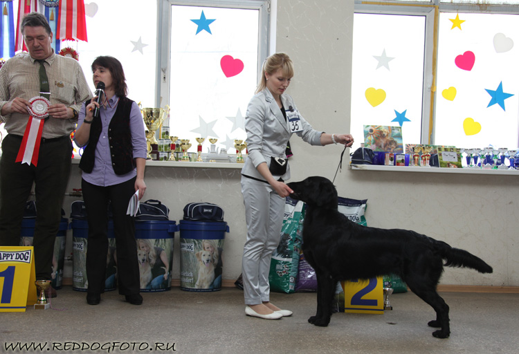 Малет Парк Плэй Энд Вин