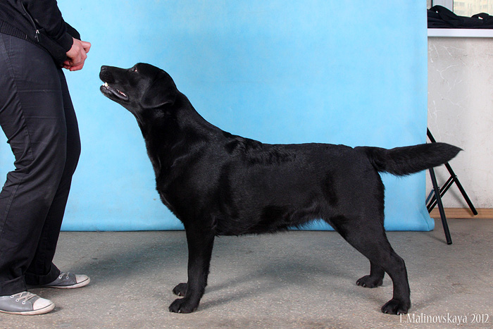 Николь Поли Сисайд Стори