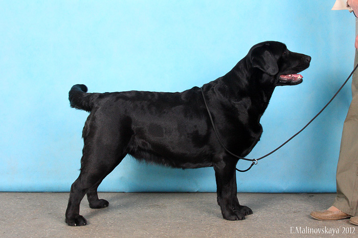 Реал Персон Сигнэче