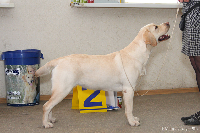 Лаб'СПб Вегас Герл