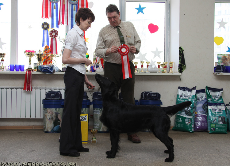 Heilurihanen Happy Heart