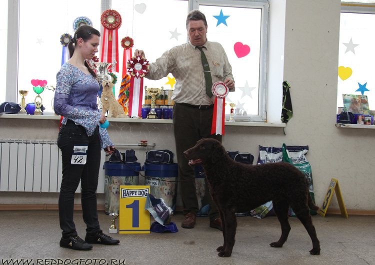 Flatcurts Now or Never