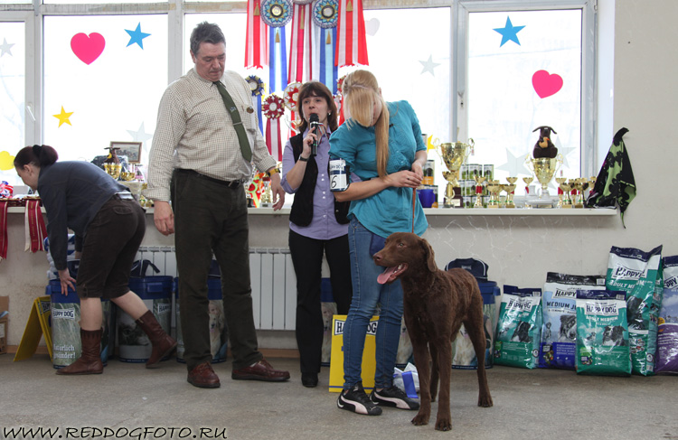 Наш Любимец Кайзер Бамбл Би