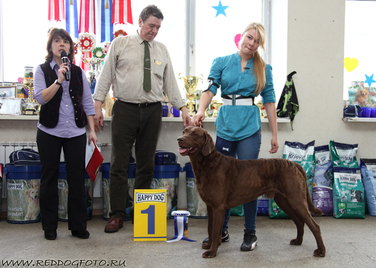 Наш Любимец Джентльмен Удачи