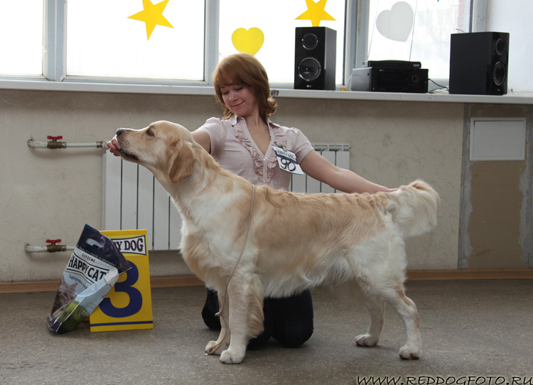 Тальтиос Ансер Ту Мэни