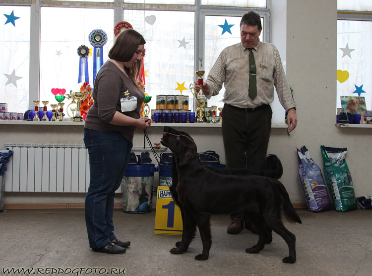 Agniola Handsome Man и Agniola Wispa Solntse Baltii