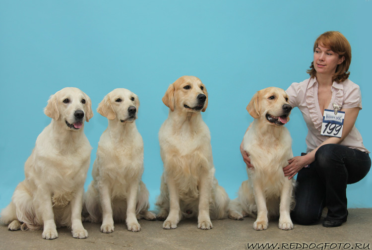 Фиона Бэст Герл