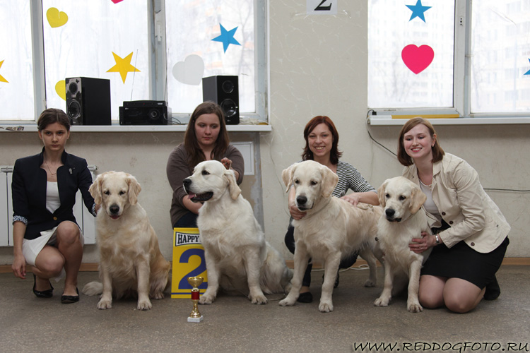 Перро Милагросо Калипсо